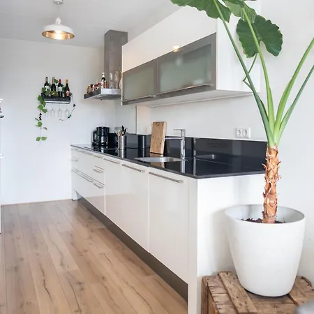 Modern Met Gratis Fietsen Breda
